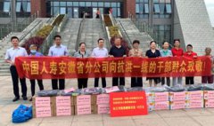 江淮抗洪 中國人壽用行動踐行國企擔當