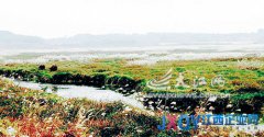 建立跨省流域生態補償機制 加快《生態補償條例》立法進程