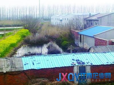 南京7污企搬遷前瘋狂排污:活魚入水10分鐘就死