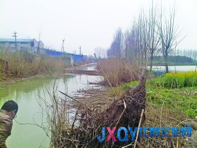 南京7污企搬遷前瘋狂排污:活魚入水10分鐘就死