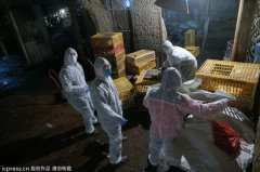 衛生部稱目前疫情處于散發狀態 未發現人傳人