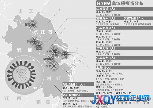 專家：過量服用板藍根會出現溶血性疾病