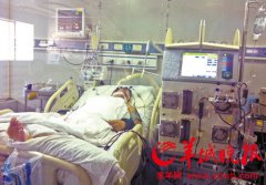 H7N9禽流感的前世今生：傳染源依然不清楚(圖)