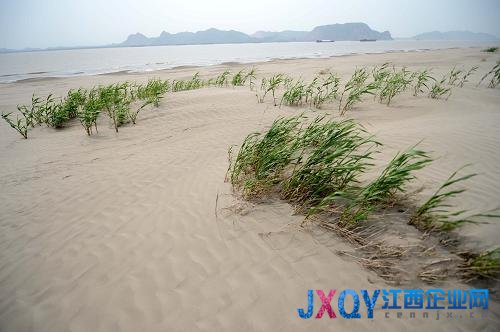 被忽視的“江南傷疤”——南方部分地區土地沙化調查