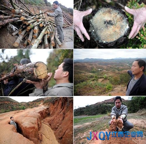 拼版照片：位于江西南部的贛縣五云鎮一處因濫伐林木導致的水土流失現象。圖為碗口粗的樹木被砍伐，留下光禿禿的山地，山林被毀導致水土流失，山路被沖刷成一個個大坑，農田被泥沙覆蓋（左至右，上至下）（2011年3月22日攝）。新華社記者 周科 攝