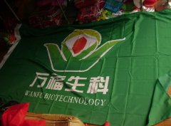 萬福生科造假流水線曝光：一個U盤撕開隱秘賬簿