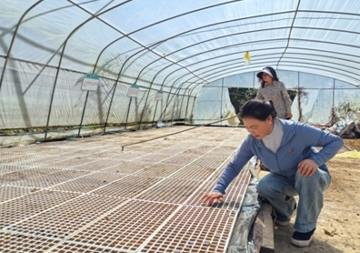 金融活水潤巴渝：中國人壽壽險公司創新服務助力鄉村振興紀實